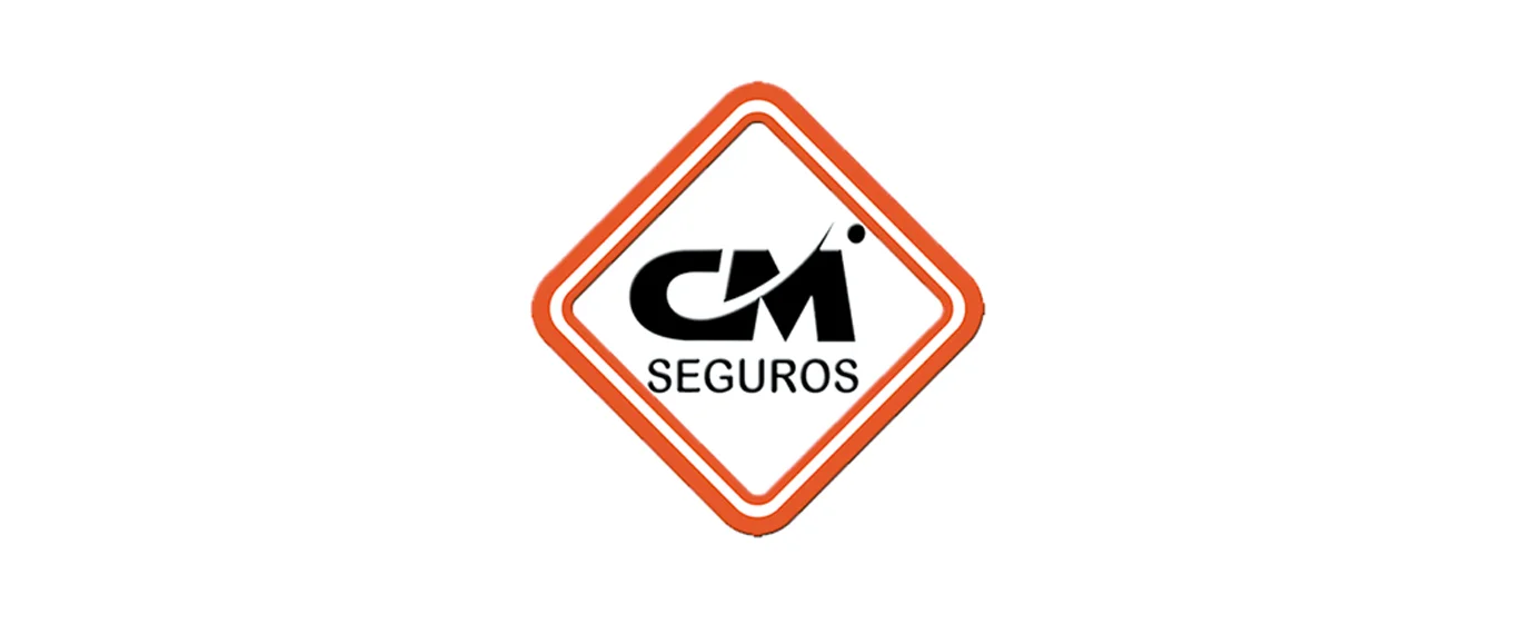 M SEGUROS
